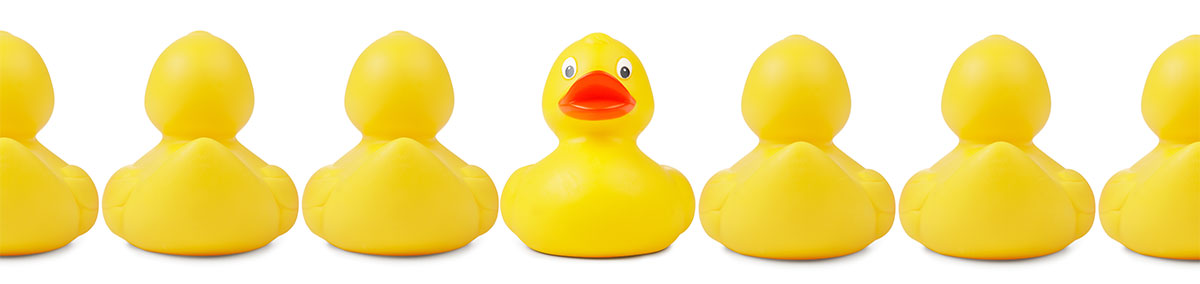 ducks-in-a-row plastic toy ducks all in a row with one duck not lined up correctly with all the others